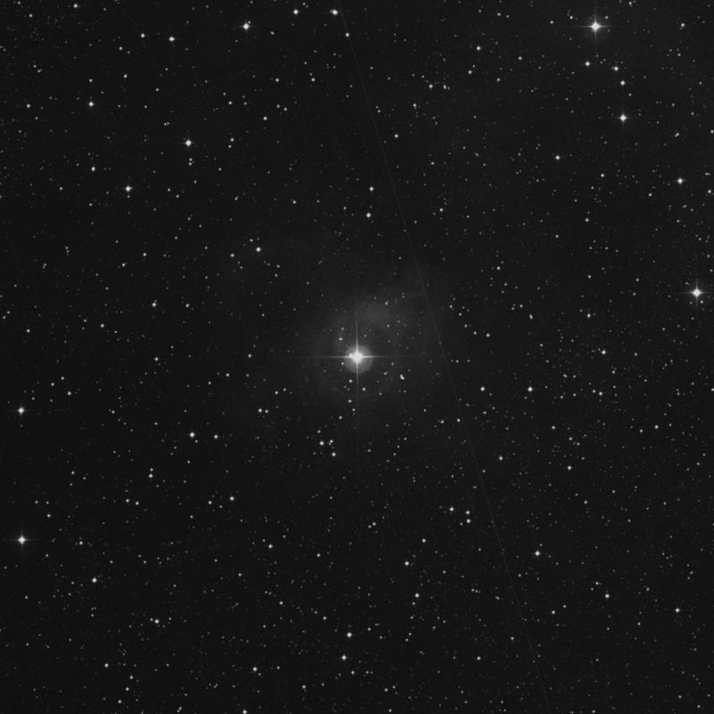 Image of 44 Cygni star