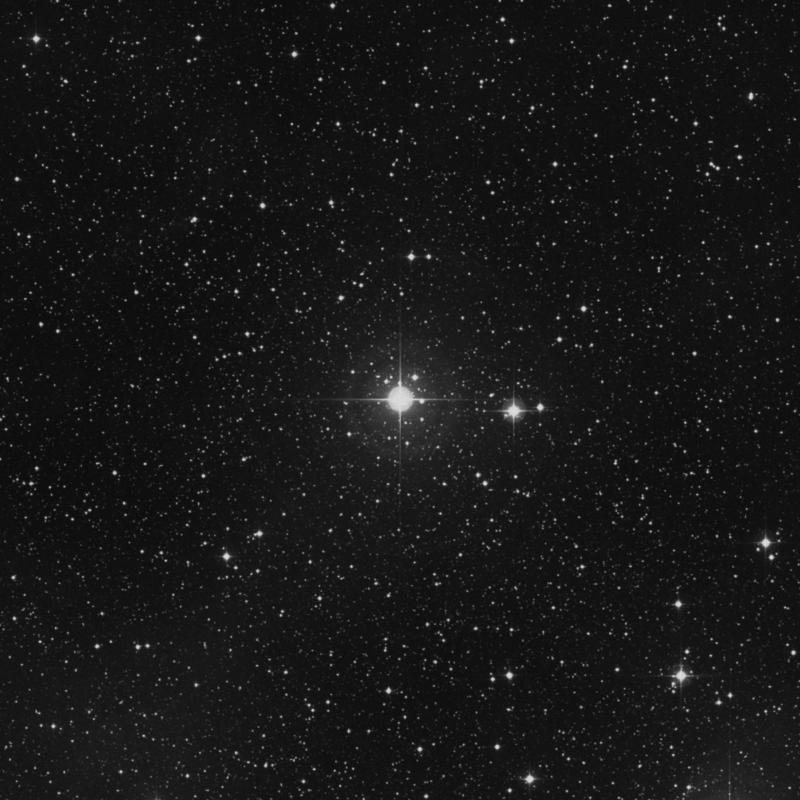 Image of ω2 Cygni (omega2 Cygni) star