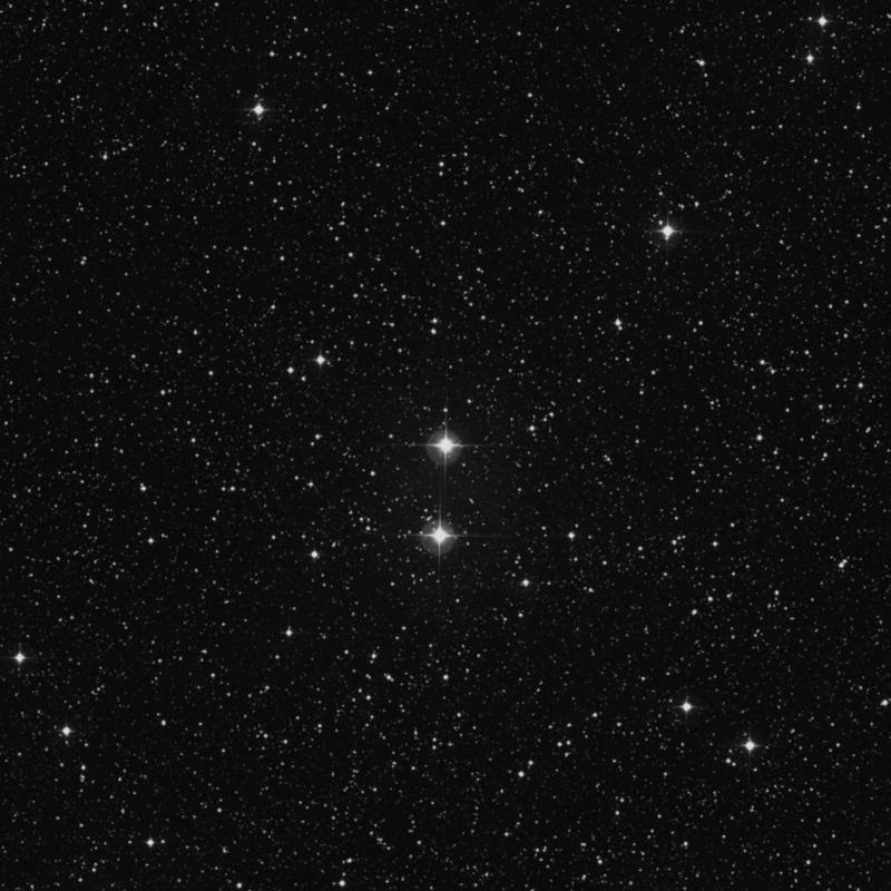 Image of 48 Cygni star