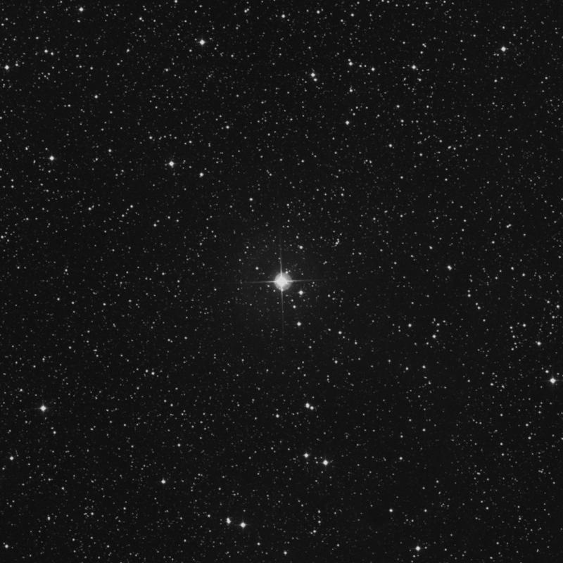 Image of 51 Cygni star