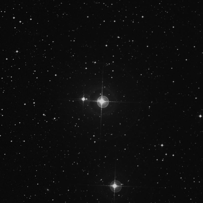 Image of ι Microscopii (iota Microscopii) star