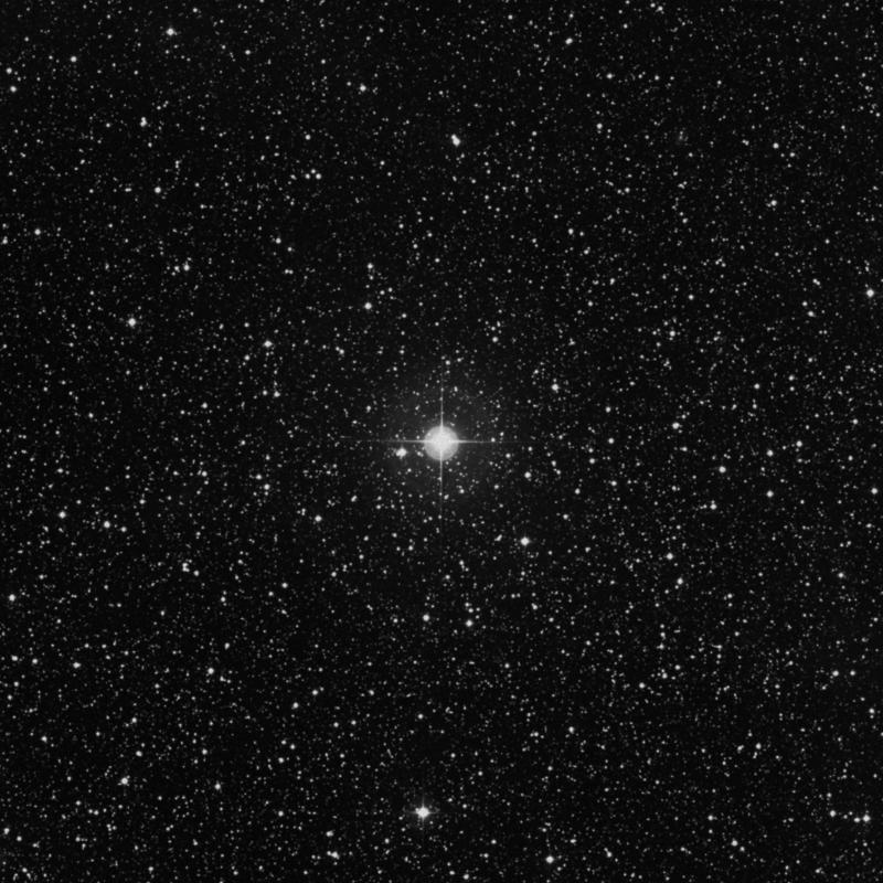 Image of λ Cygni (lambda Cygni) star