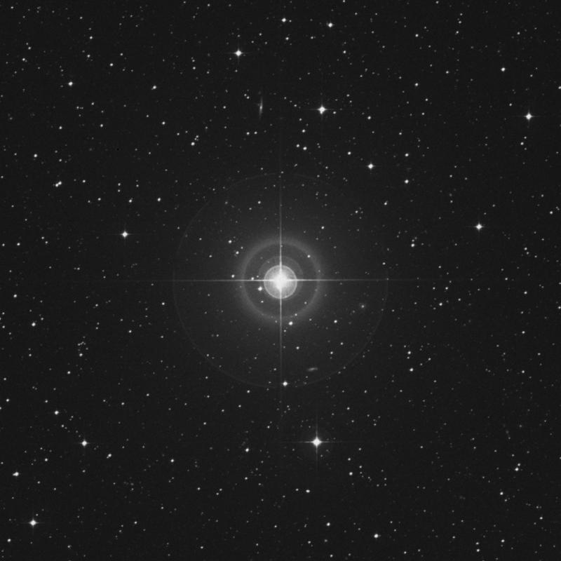 Image of α Microscopii (alpha Microscopii) star