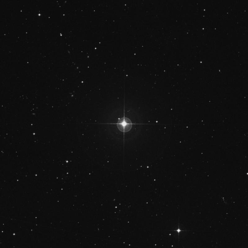 Image of HR805 star