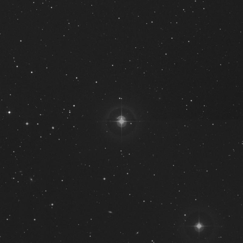 Image of 36 Arietis star