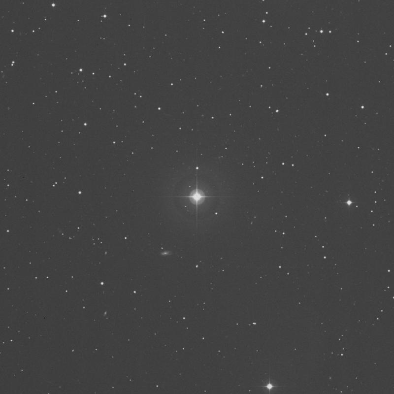 Image of ο Arietis (omicron Arietis) star