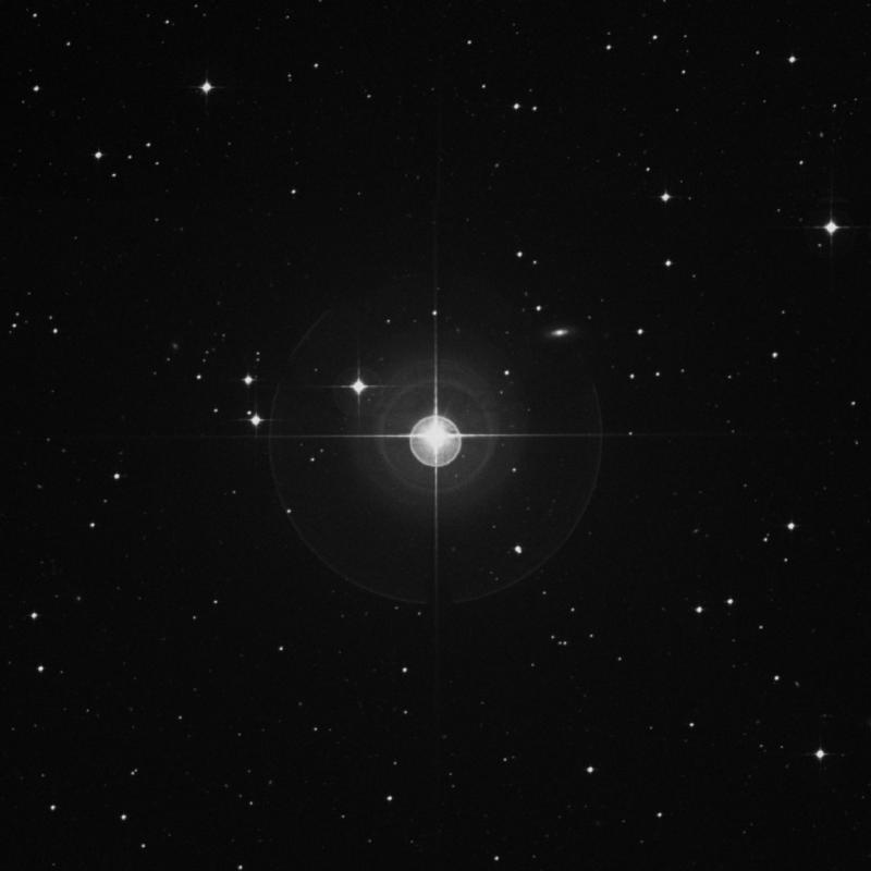 Image of β Fornacis (beta Fornacis) star