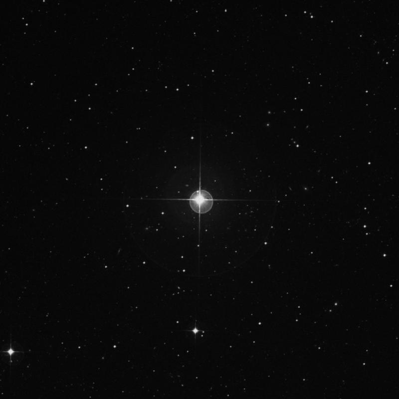 Image of γ2 Fornacis (gamma2 Fornacis) star