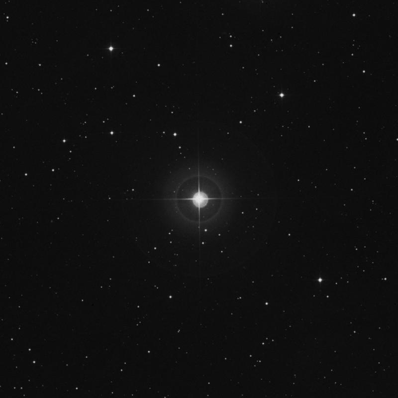 Image of ε Arietis (epsilon Arietis) star