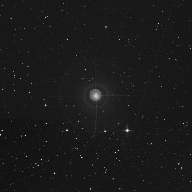Image of γ Microscopii (gamma Microscopii) star