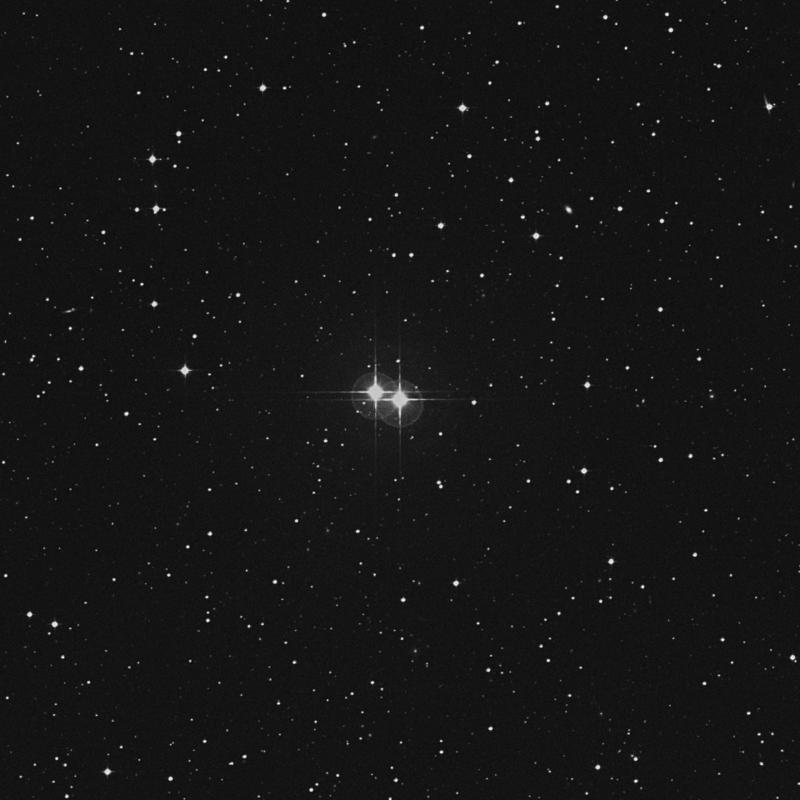 Image of HR8042 star
