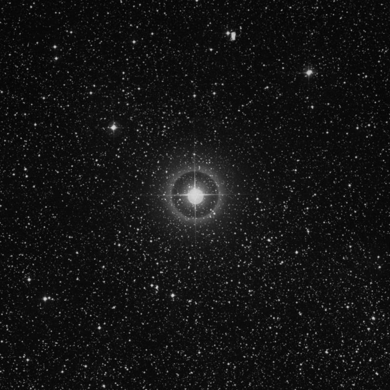 Image of 63 Cygni star