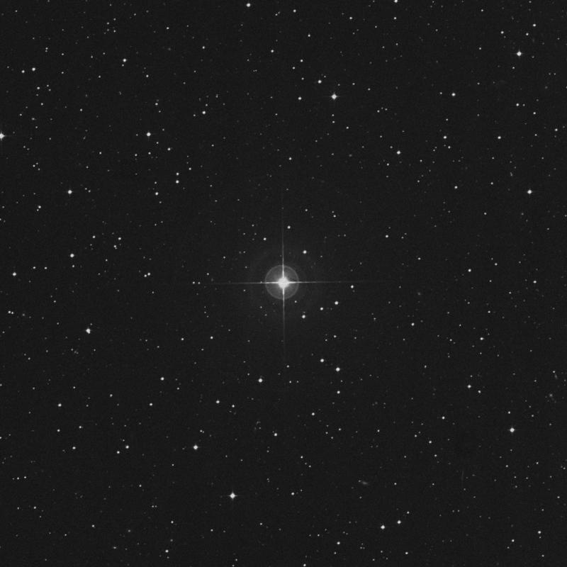 Image of HR8100 star