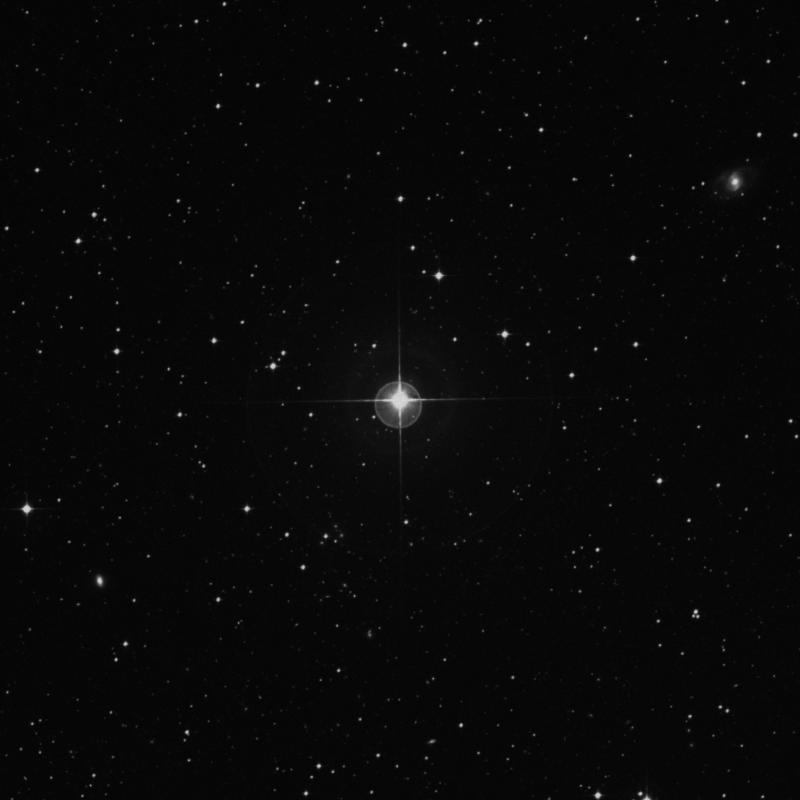 Image of HR8202 star