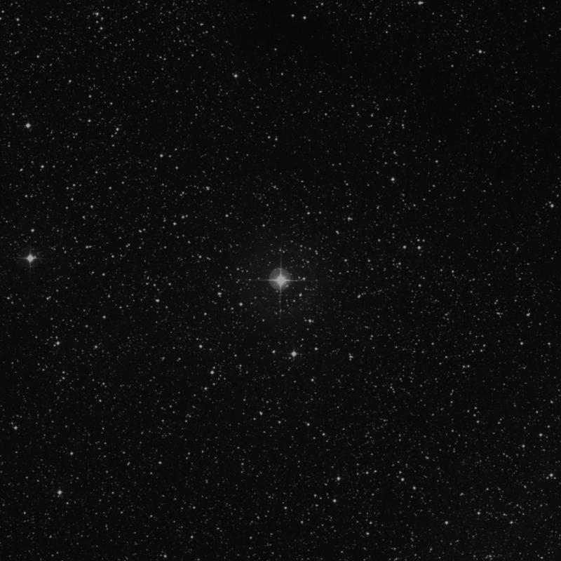 Image of HR8216 star