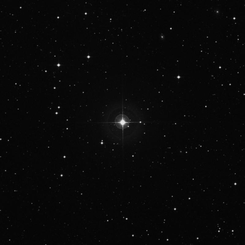 Image of 8 Piscis Austrini star