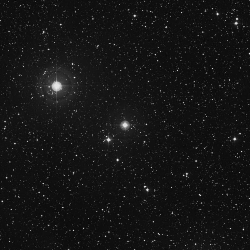 Image of 77 Cygni star