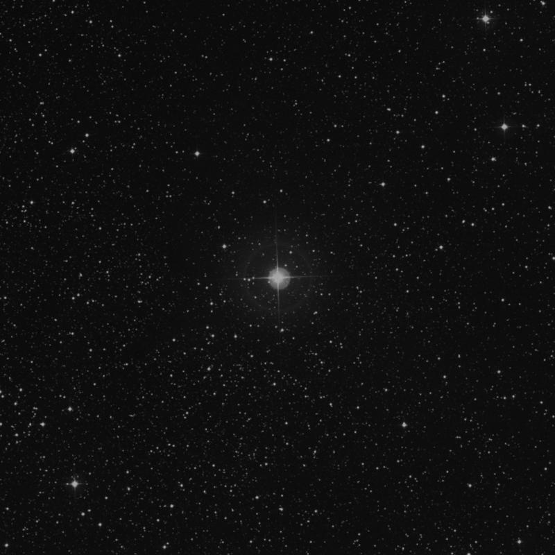 Image of Azelfafage - π1 Cygni (pi1 Cygni) star