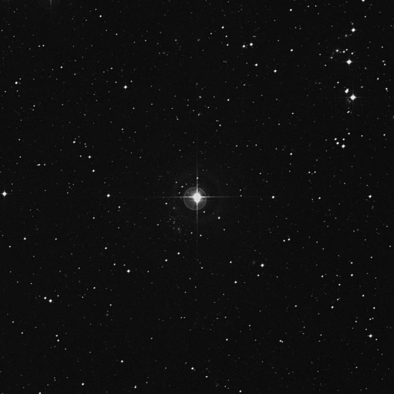 Image of HR8363 star