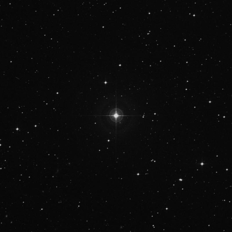 Image of HR8365 star