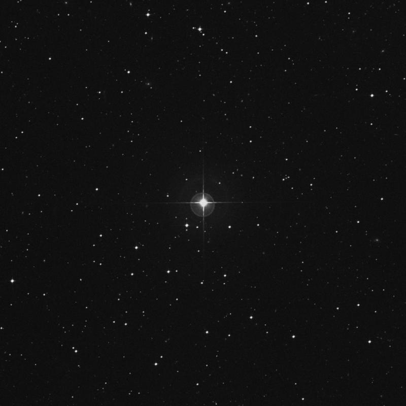 Image of HR8394 star
