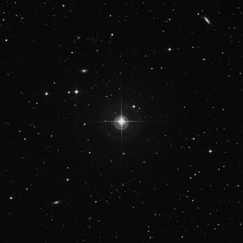 Image of λ Piscis Austrini (lambda Piscis Austrini) star