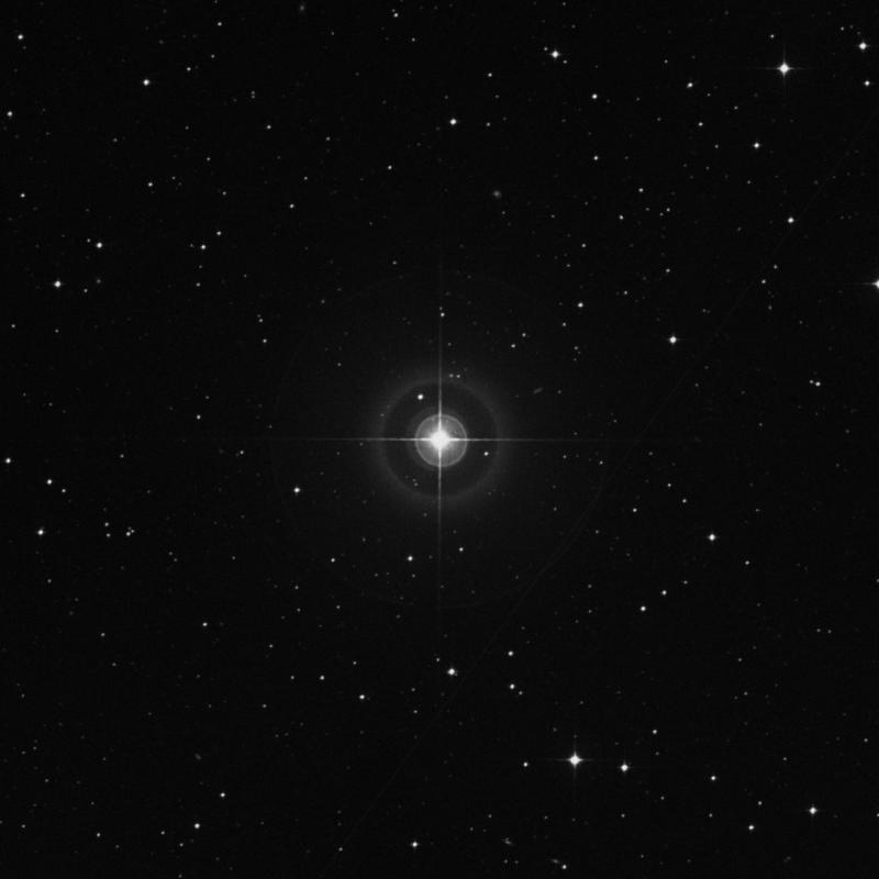 Image of 19 Piscis Austrini star