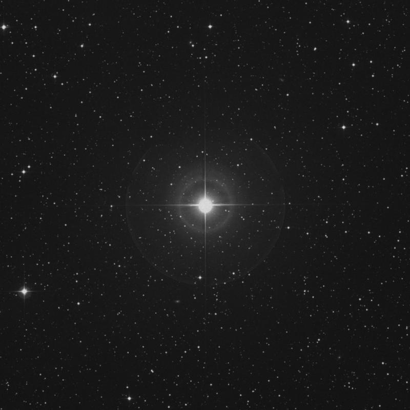 Image of ο Andromedae (omicron Andromedae) star