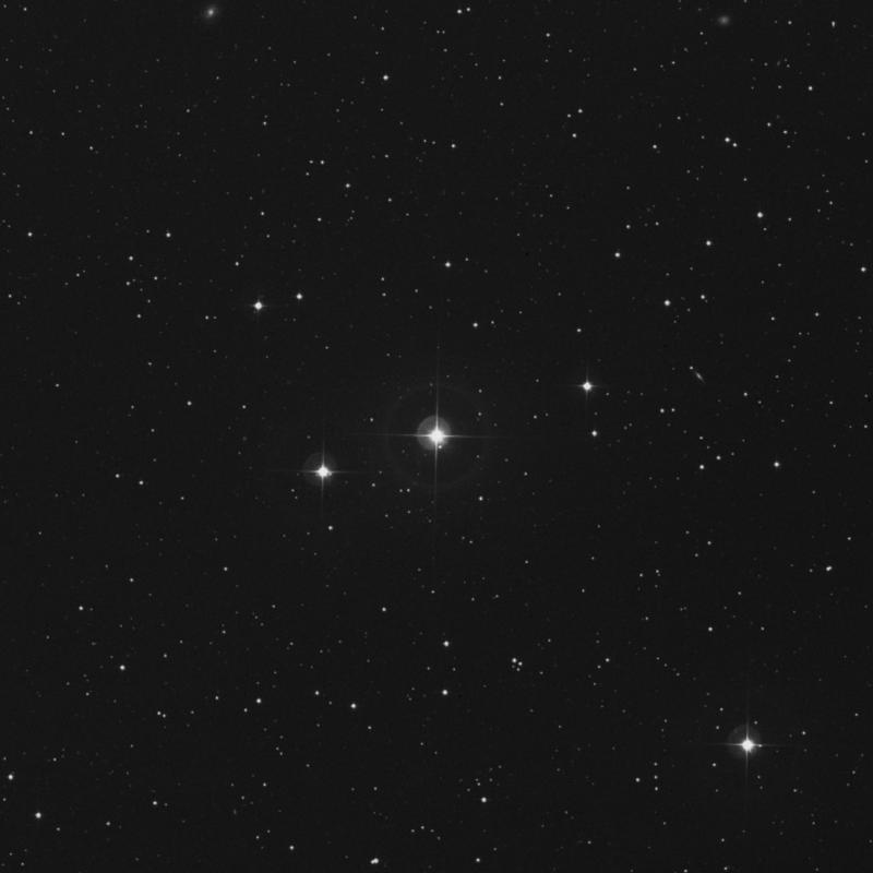 Image of 61 Pegasi star