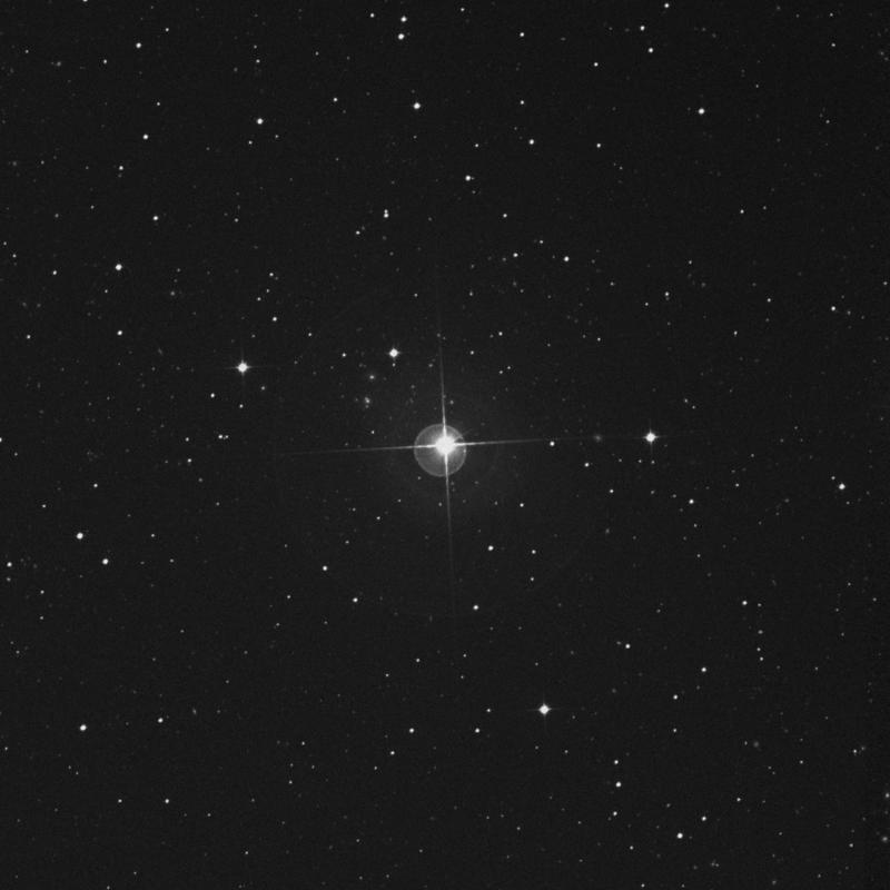 Image of ο Gruis (omicron Gruis) star