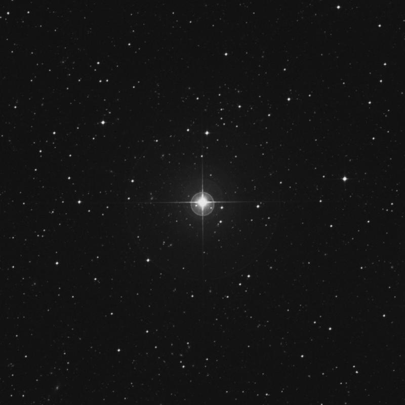 Image of HR8919 star