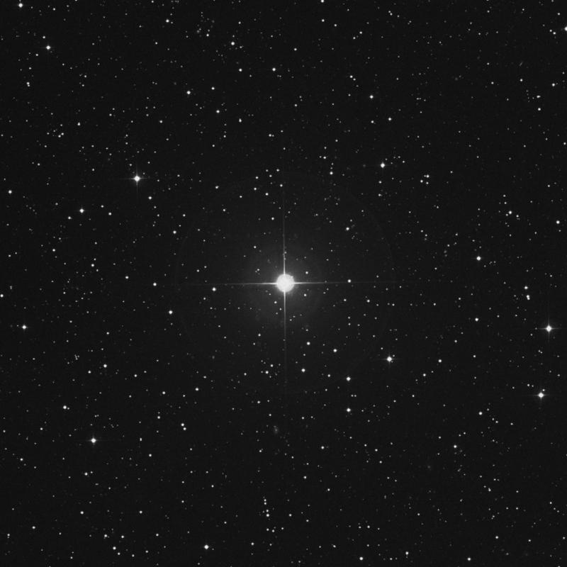 Image of Veritate - 14 Andromedae star