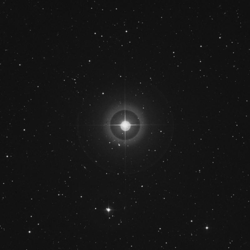 Image of 71 Pegasi star