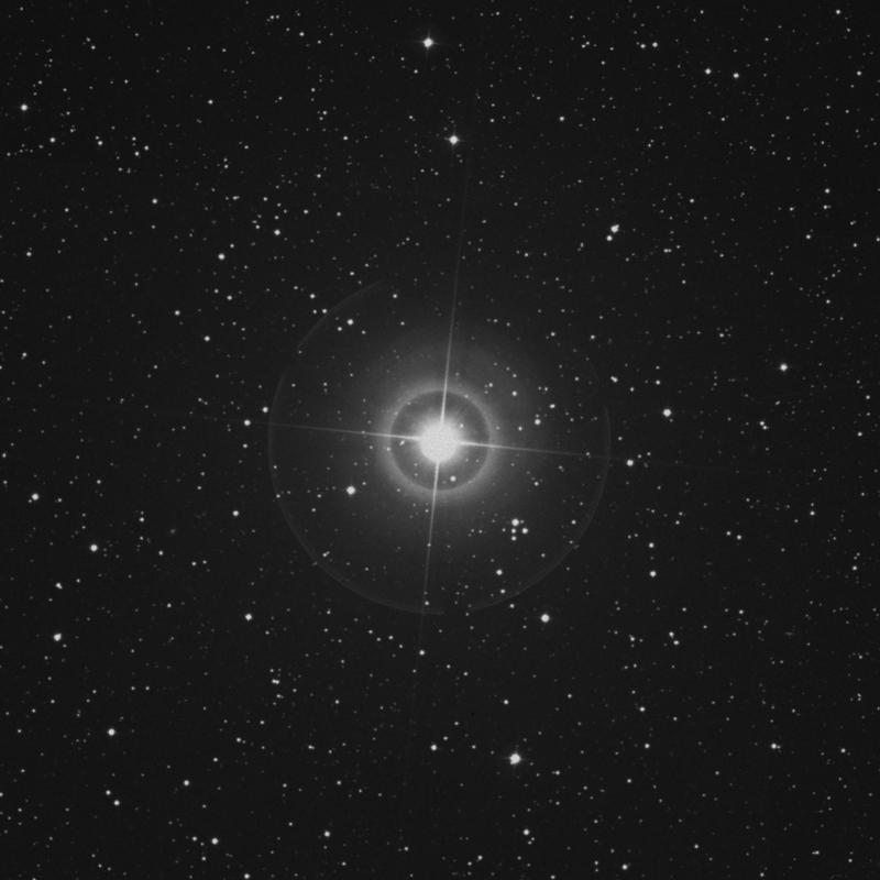 Image of Errai - γ Cephei (gamma Cephei) star