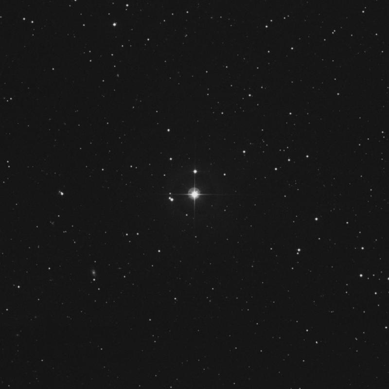 Image of 53 Arietis star