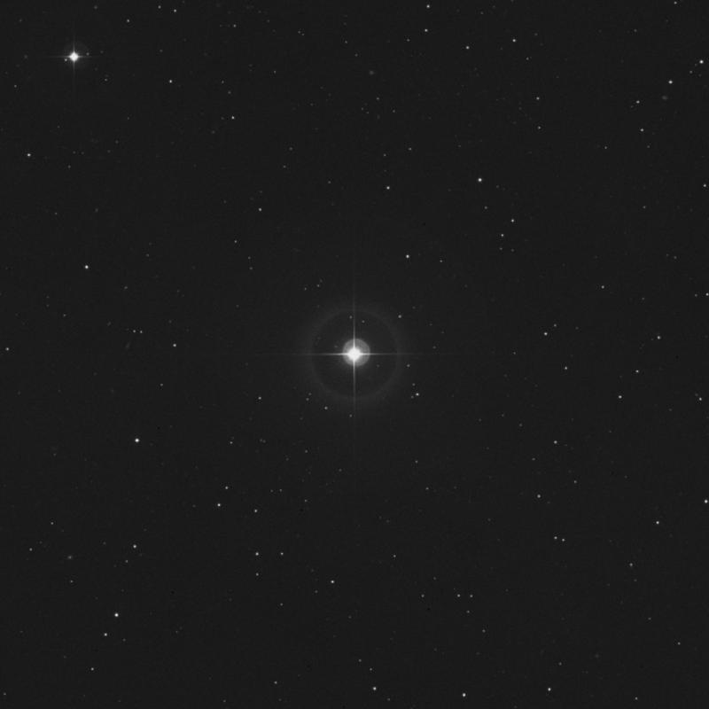 Image of HR942 star