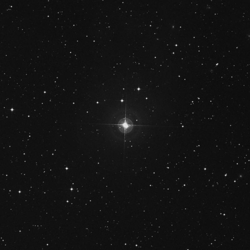 Image of HR981 star