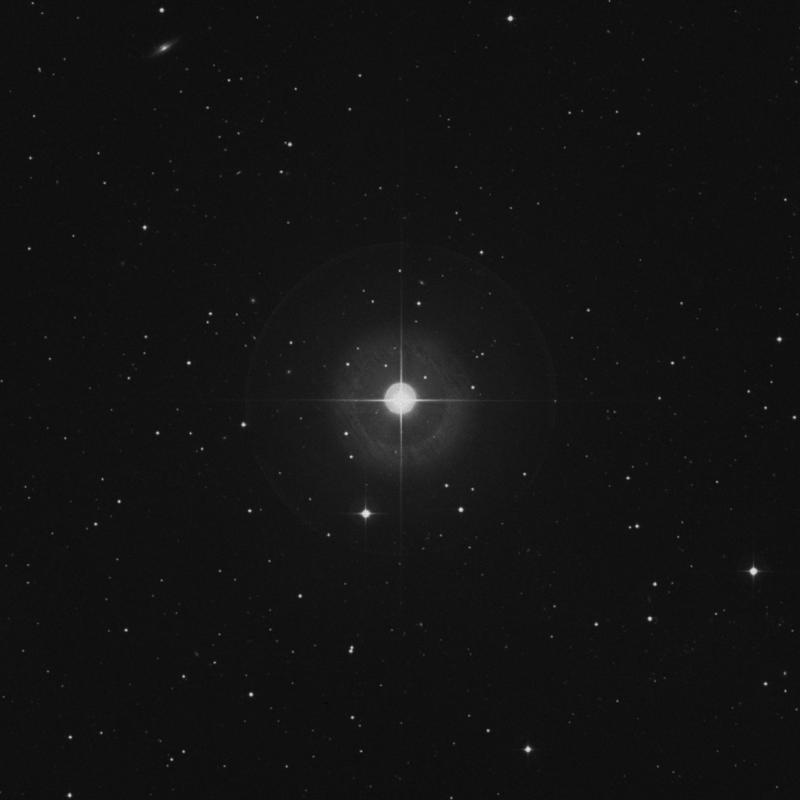 Image of κ1 Ceti (kappa1 Ceti) star