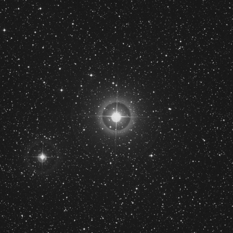 Image of ρ Cassiopeiae (rho Cassiopeiae) star