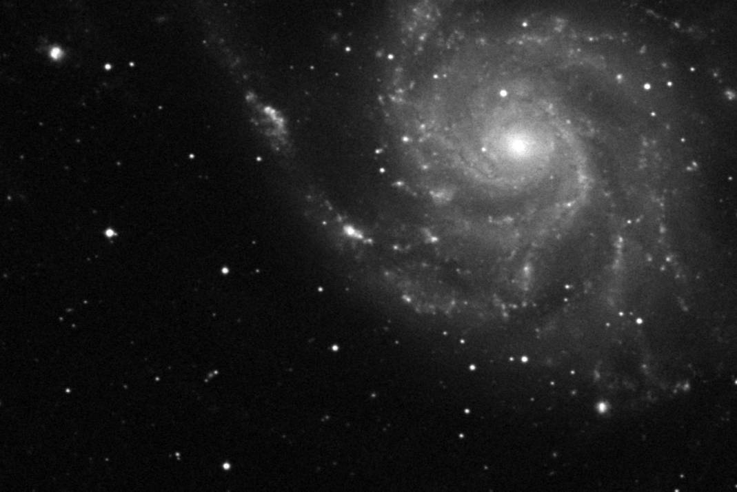 Finder chart for Supernova 2023ixf in M101 (Pinwheel Galaxy)