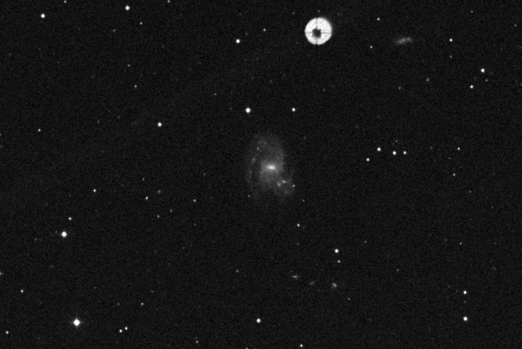 Finder chart for Supernova 2024bch in NGC 3206